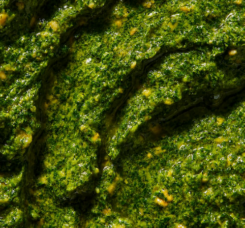 Thyme & Herbs